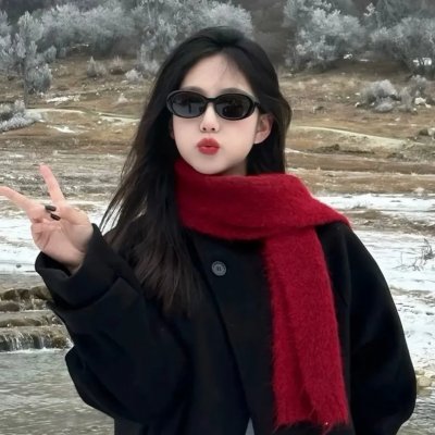 芝加哥烈焰第十三季